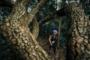 BIB: 
                            <button type="button" onclick="openModal(25393463)" class="btn btn-primary btn-sm float-right btn-popup" data-toggle="modal" data-target=".modal-high-quality">
                        <i class="fas fa-shopping-cart"></i> Add to Cart
                    </button>
                                            <button type="button" onclick="isThisMe(25393463, true)" class="btn btn-success btn-sm float-right btn-popup btn-isme hidden" data-toggle="tooltip" data-placement="bottom" title="นี่คือรูปของคุณใช่ไหม คลิกที่นี่เพื่อเอาเข้าอัลบั้ม">
                        <i class="fas fa-plus"></i> Add to album
                    </button>
                    <button type="button" onclick="isThisMe(25393463, false)" class="btn btn-warning btn-sm float-right btn-popup btn-isnotme hidden">
                        <i class="fas fa-ban"></i> Remove from album
                    </button>